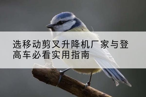 金林电动升降机厂家-选移动剪叉升降机厂家与登高车必看实用指南