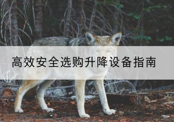 金林升降货梯厂家推荐-*安全选购升降设备指南